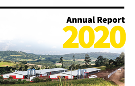 relatorio_anual_2020_ingles